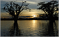 Cuyabeno national reserve - Sunset