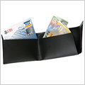 pocketmoney