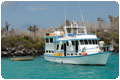 Galapagos Inseln - Galapagos Bootstour