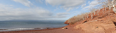 Galapagos Tours - Ecuador: Angelito - 5 days