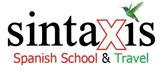 Sintaxis Logo